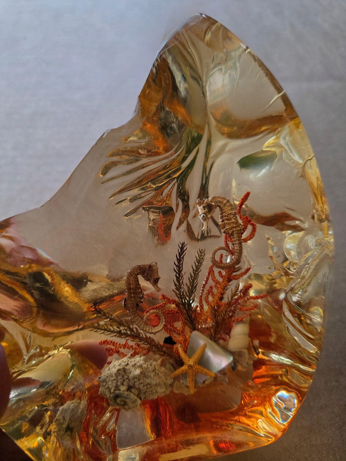 Golden amber resin crystal - marine ecosystem close up