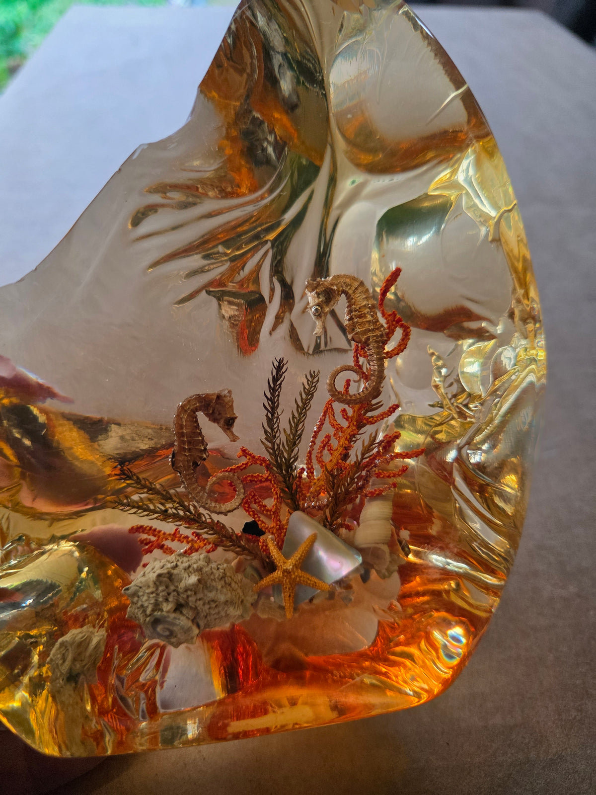 Golden Amber Resin Crystal | Seahorses, Corals & Shells | Luxury Gift Box | Handmade UK