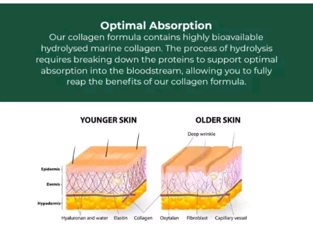 Collagen Complex – Marine Collagen Peptides with Hyaluronic Acid for Healthy Skin, Hair & Nails